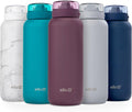 Ello Cooper 22oz Insulated Stainless Steel Water Bottle with Straw, Figgy