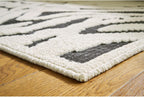 Signature Design by Ashley Thomwith Contemporary Indoor Washable Zebra Design 8 x 10 Rug with Non Slip Backing, Black & White