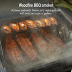 Ninja FlexFlame Grill & Smoker, Electric & Propane, 5-in-1, Black,PG301BK | Ninja FlexFlame is a 5-in-1 grill, smoker & griddle with precise 200-600°F control, fitting 3 chickens or 4 rib racks