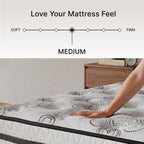 Signature Design by Ashley Queen Mattress, 10 Inch Medium Firm Hybrid