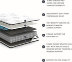 Signature Design by Ashley Queen Mattress, 10 Inch Medium Firm Hybrid