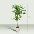 HOMCOM 120cm Artificial Dracaena Tree Bendable Trunks, Green
