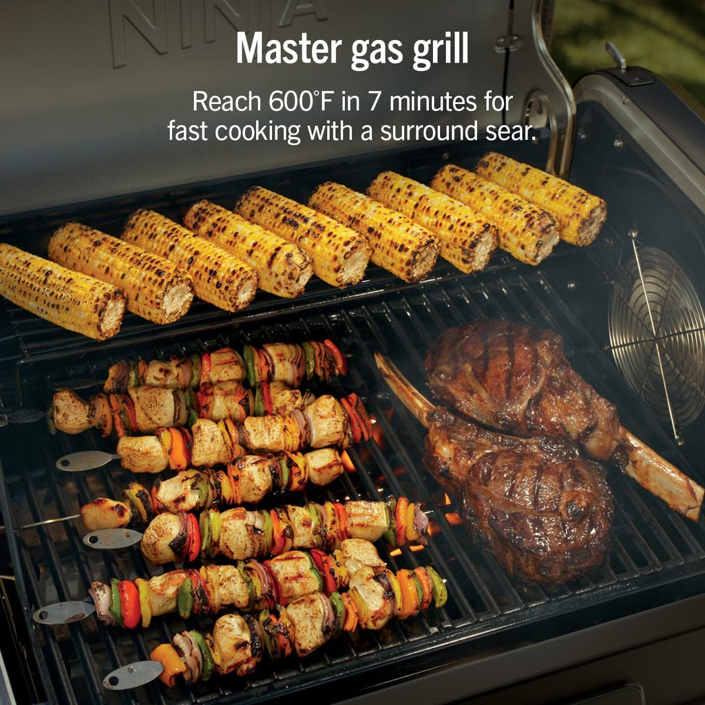 Ninja FlexFlame Grill & Smoker, Electric & Propane, 5-in-1, Black,PG301BK | Ninja FlexFlame is a 5-in-1 grill, smoker & griddle with precise 200-600°F control, fitting 3 chickens or 4 rib racks
