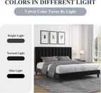 Allewie Queen Bed Frame/Velvet Upholstered Bed Frame with Vertical Channel Tufted Headboard/Strong Wooden Slats/Platform Bed Frame/Mattress Foundation/Box Spring Optional/Easy Assembly/Black