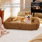 Bedsure ComfyFleece® Cute Dog Beds Large Sized Dog Washable，36in Cream