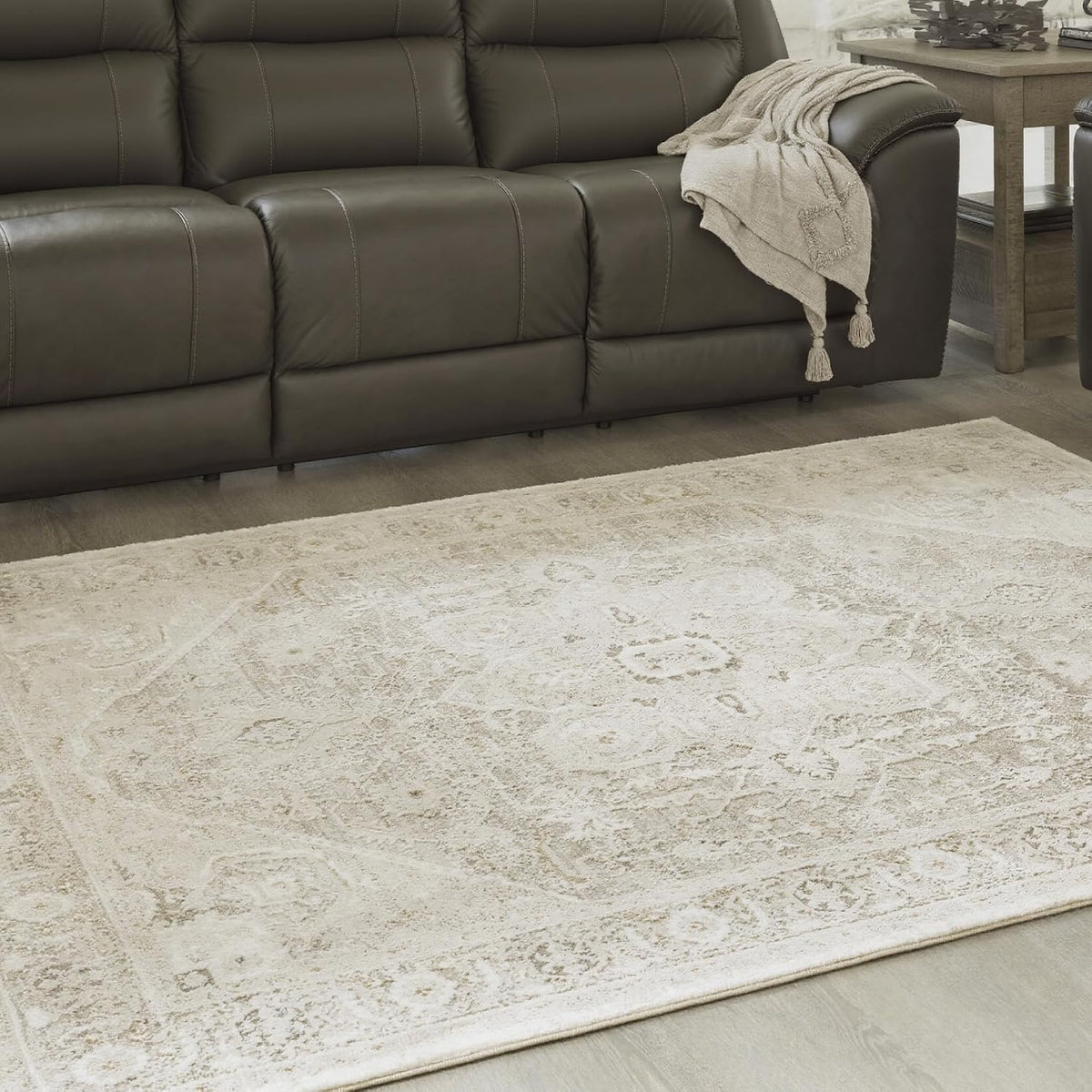 Signature Design by Ashley Gatwell Vintage Persian Rug 8x10 | Machine woven polyester face with jute backing, Medium 9 mm pile height, Contemporary area rug for living rooms