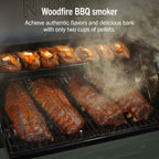 Ninja FlexFlame Grill & Smoker, Electric & Propane, 5-in-1, Green, PG301GN | Ninja FlexFlame is a 5-in-1 grill, smoker & griddle with precise 200-600°F control, fitting 3 chickens or 4 rib racks