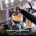 Ninja Luxe Café Premier Espresso & Rapid Cold Brew, Gunmetal, ES601GM | Drip Coffee, Built-in Coffee Grinder, Hands-Free Milk Frother, Assisted Tamper for Cappuccinos & Lattes