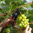 8.5" Garden Secateurs for Weak Hands, Professional Bypass Pruner