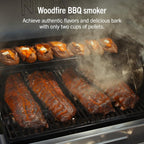 Ninja FlexFlame Grill & Smoker, Electric & Propane, 5-in-1, Steel,PG301 | Ninja FlexFlame is a 5-in-1 grill, smoker & griddle with precise 200-600°F control, fitting 3 chickens or 4 rib racks