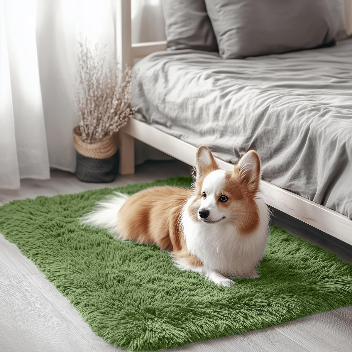 OLANLY Beige Round Rugs for Bedroom - Machine Washable, 4 ft Circle Area Rugs for Living Room, Soft and Fluffy Shaggy Carpet for Teen Girls and Boys, Nursery Rooms, Dorms, Home Decor Aesthetic
