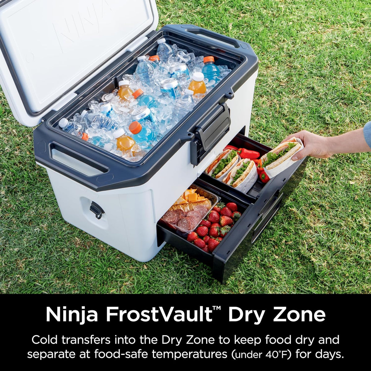 Ninja FrostVault 50qt Hard Cooler, Dry Storage Drawer, Cloud White FB151WH | Ninja FrostVault keeps food cool, dry & separate under 40°F for days, with 50-qt capacity holding up to 80 cans