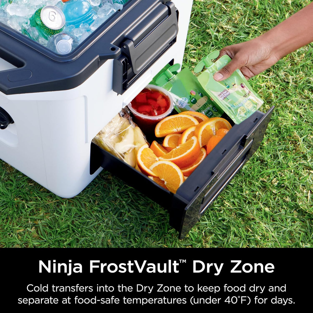 Ninja FrostVault 30qt Hard Cooler w/Dry Storage Drawer, True Red, FB131RD1 | Ninja FrostVault keeps food cool, dry & separate under 40°F for days, with 30-qt capacity holding up to 48 cans.