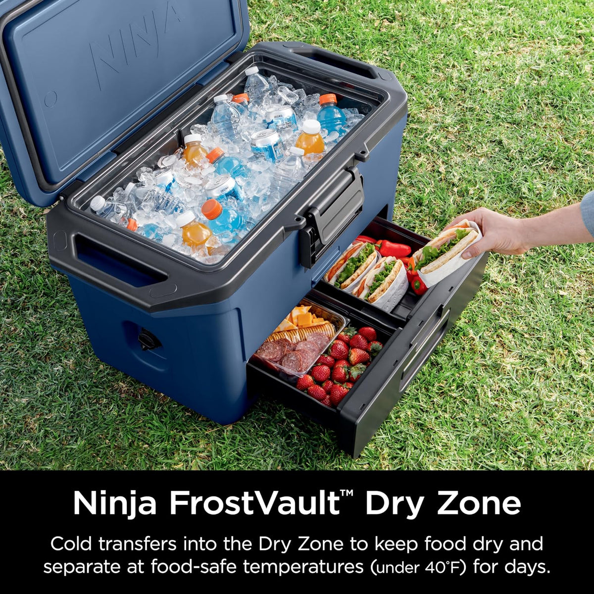Ninja FrostVault 50qt Hard Cooler, Storage Drawer, Lakeshore Blue FB151BL | Ninja FrostVault keeps food cool, dry & separate under 40°F for days, with 50-qt capacity holding up to 80 cans