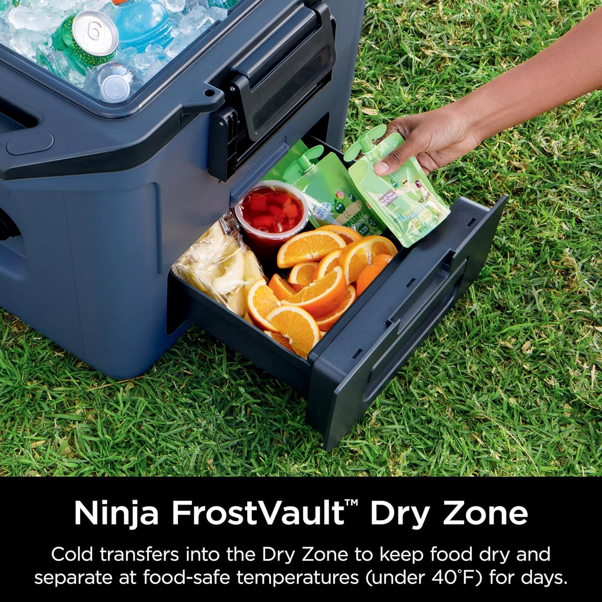 Ninja FrostVault 30qt Hard Cooler, Storage Drawer, Lakeshore Blue, FB131BL | Ninja FrostVault keeps food cool, dry & separate under 40°F for days, with 30-qt capacity holding up to 48 cans.