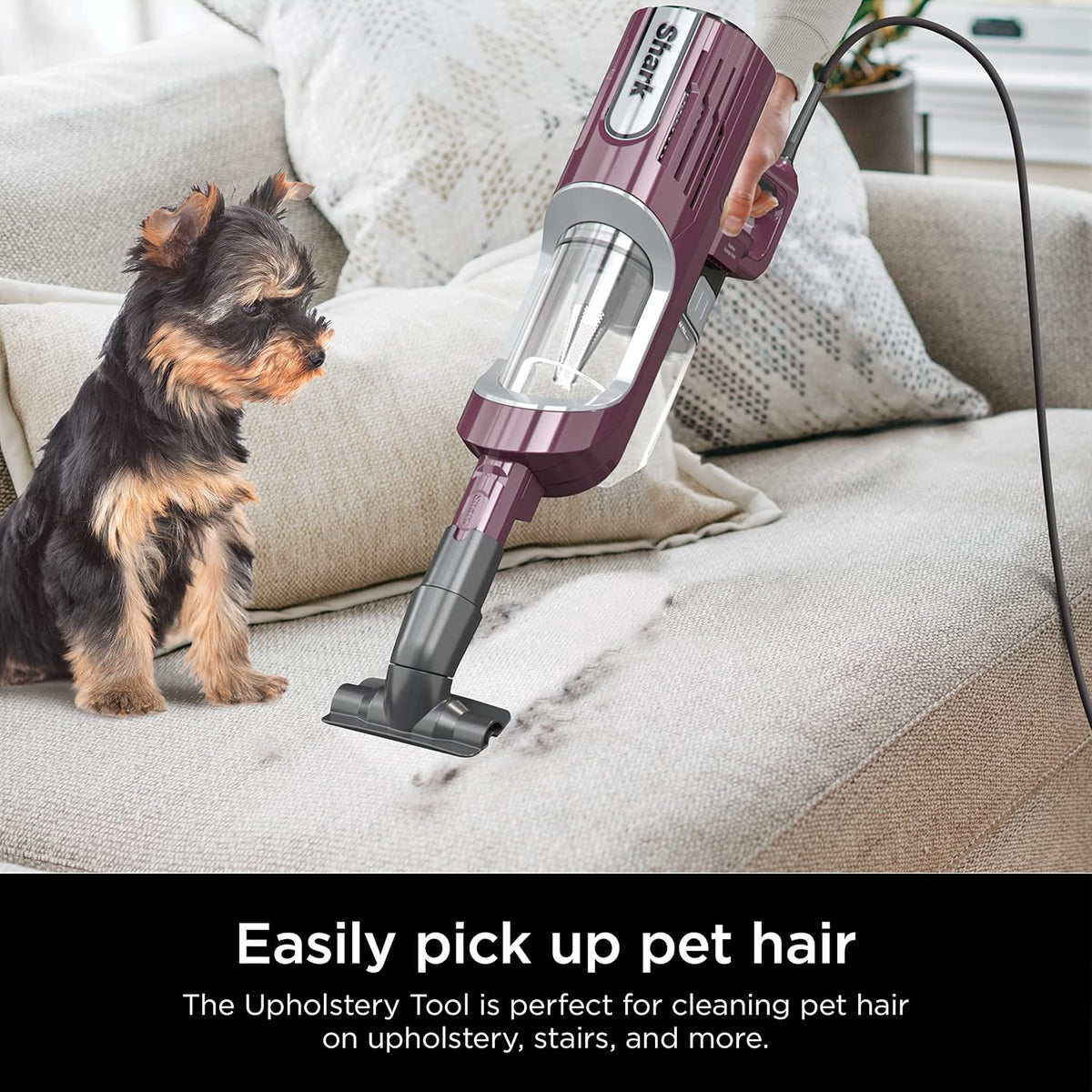 Shark PetPro Corded Stick Vacuum, Odor Tech, Wine Purple, Renewed, HZ702