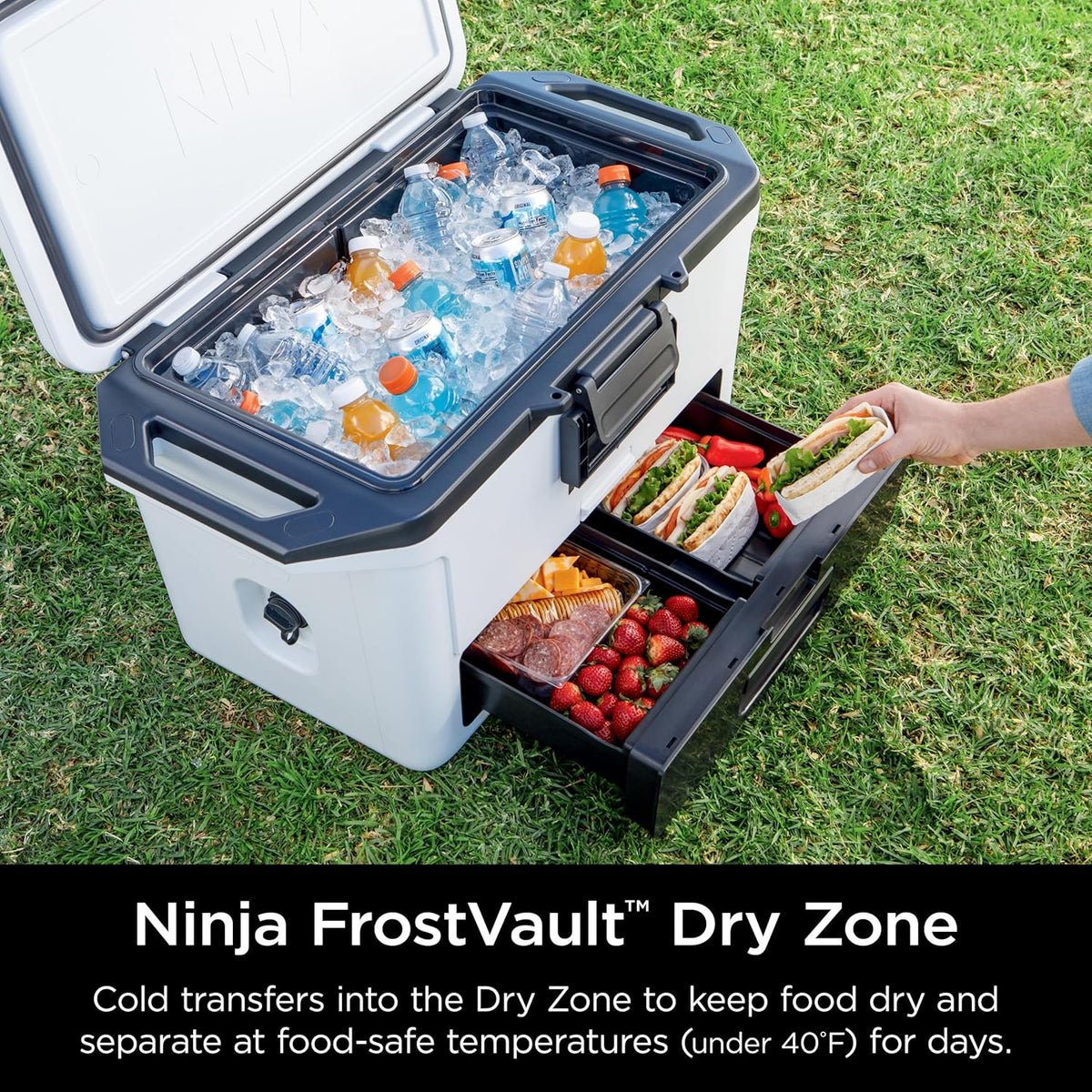 Ninja FrostVault™ 50qt Hard Cooler with Storage Drawer, Halocline Green | Ninja FrostVault keeps food cool, dry & separate under 40°F for days, with 50-qt capacity holding up to 80 cans